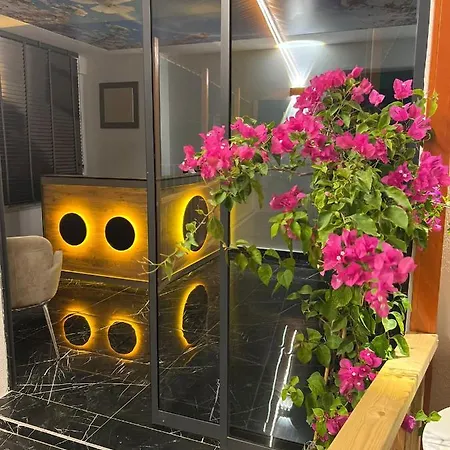Asimado Antalya